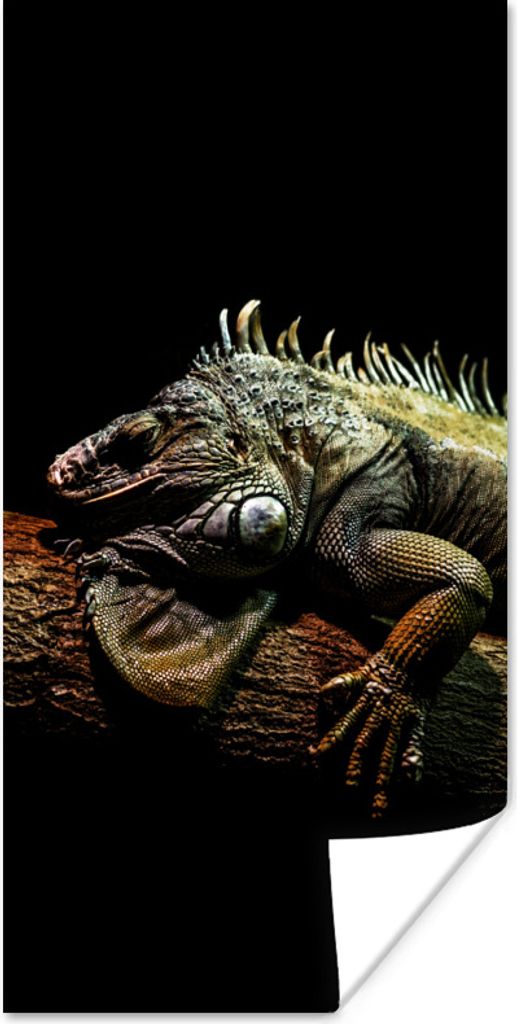MuchoWow Poster Tier - Zweig - Schwarz 60x120 cm - Wandschmuck