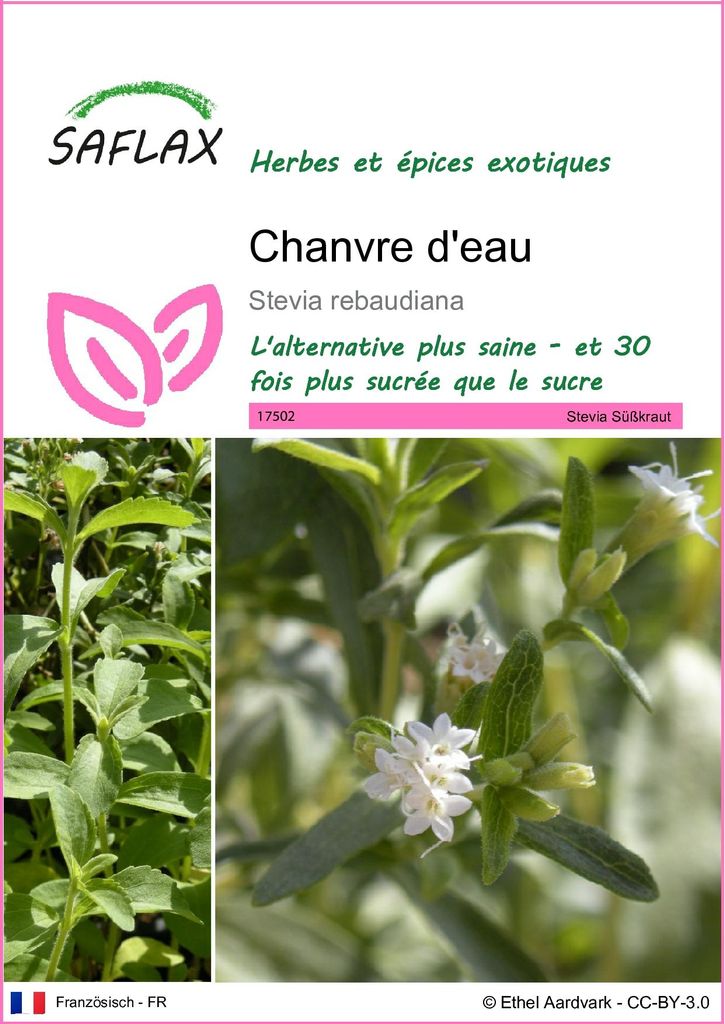 SAFLAX  - Chanvre d'eau - 100 graines - Stevia Image du produit 