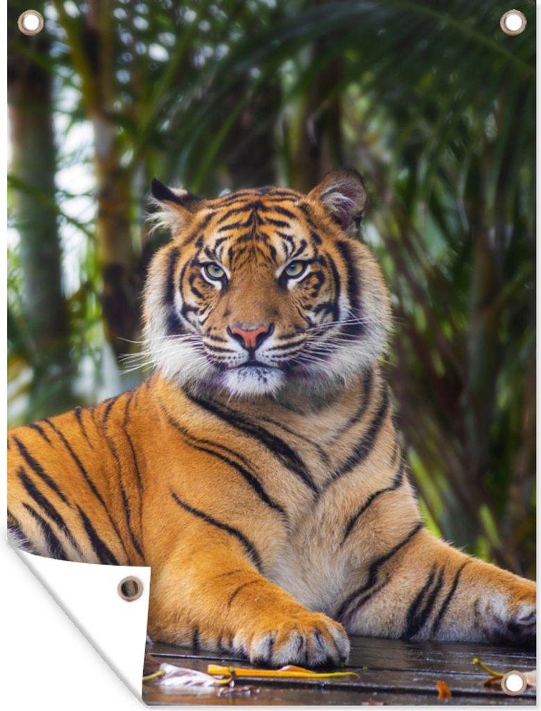 MuchoWow 90x120 cm Outdoor-Poster Gartendeko Sichtschutz Garten Poster für den Garten Tiger - Tiere - Wald - Dschungel