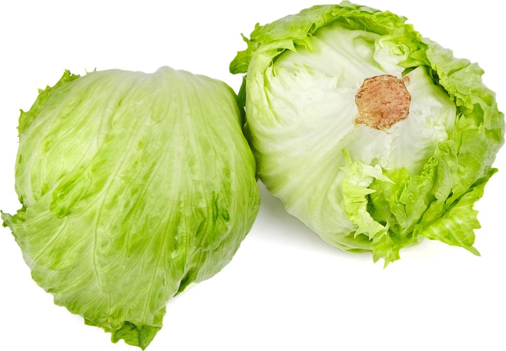 Eissalat Samen Barcelona Salat Gemüse Saatgut Garten Hochbeet Lausfrei Salatsamen ca 150 Korn AlexLand