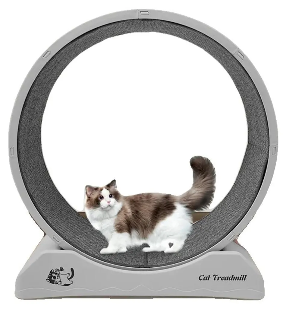 Roue pour chat anti-griffures en polypropylène - Supporte 10 kg max