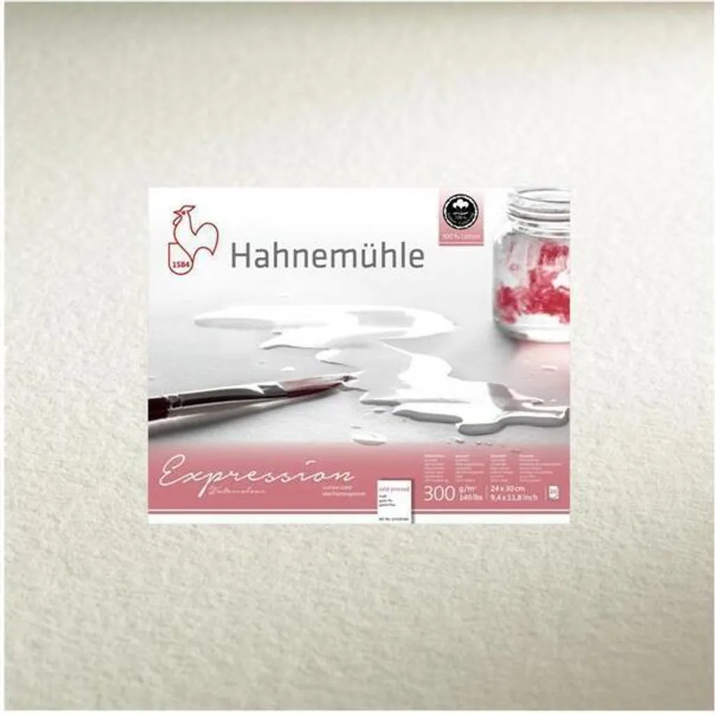 Papier Aquarelle 300g Mat Hahnemühle Expression Bloc 30x40 de 20 Pages