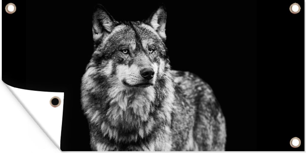 MuchoWow 160x80 cm Outdoor-Poster Gartendeko Sichtschutz Garten Poster für den Garten Wolf - Tiere - Wild - Schwarz - Weiß