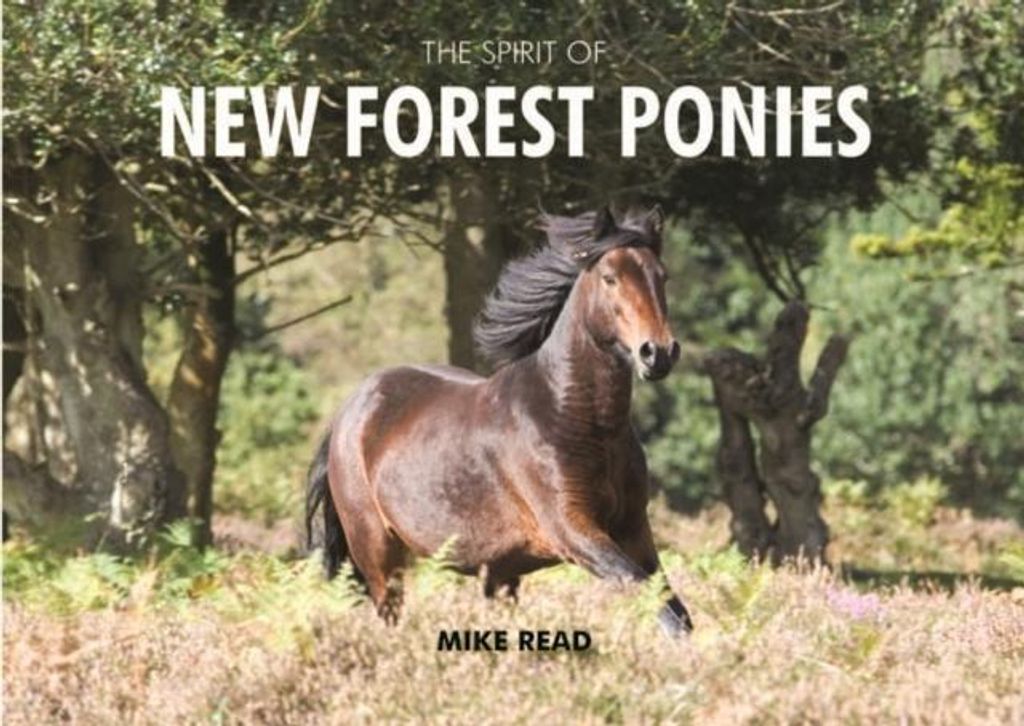 Spirit Of New Forest Ponies – Lingua: Inglese