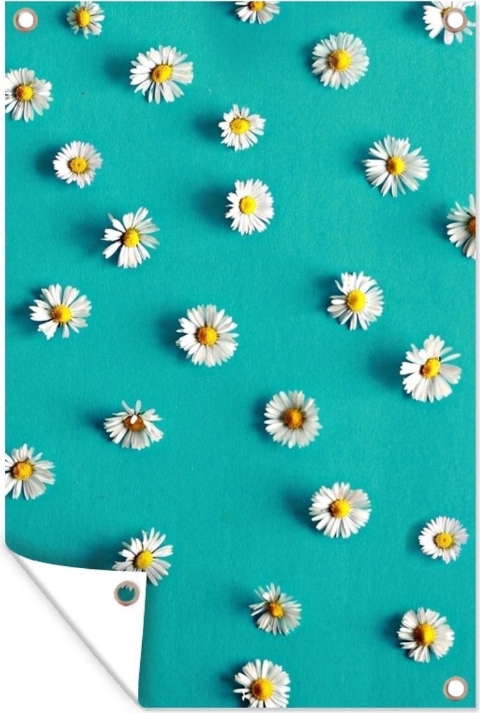 MuchoWow 80x120 cm Outdoor-Poster Gartendeko Sichtschutz Garten Poster für den Garten Gänseblümchen auf Blau