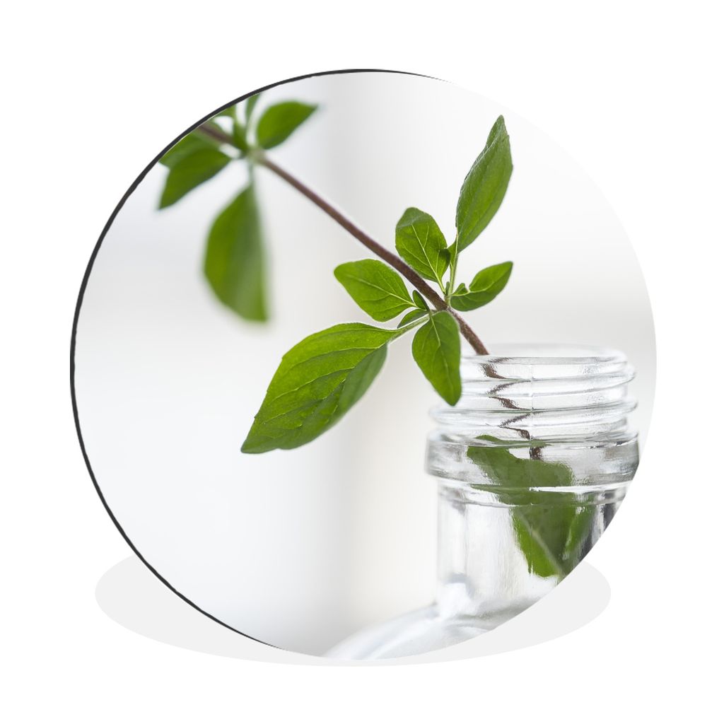 MuchoWow Aluminium Wandkreis Ein einzelner Oregano-Zweig in einem Glasgefäß in einer hellen Umgebung Ø 60 cm Wanddeko Modern Wohnzimmer - Wand...