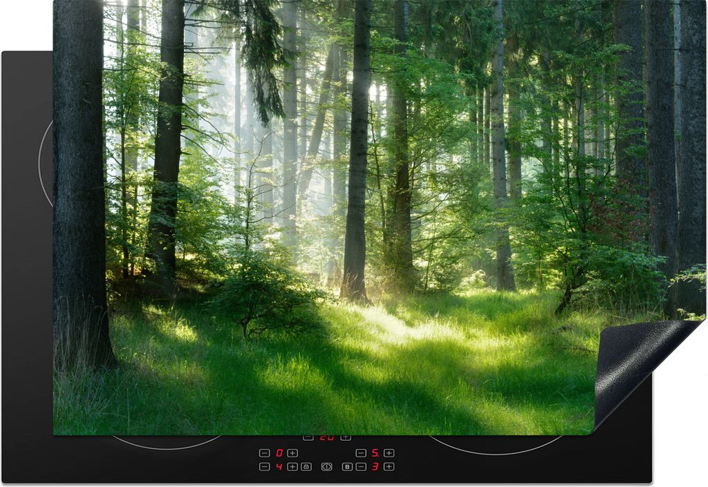 KitchenYeah Herdabdeckplatte Natur - Bäume - Wald - Grün - Sonne - Gras - Pflanzen , 78x52cm, Küche Deko, Glaskeramikkochfeld Herdabdeckung, A...