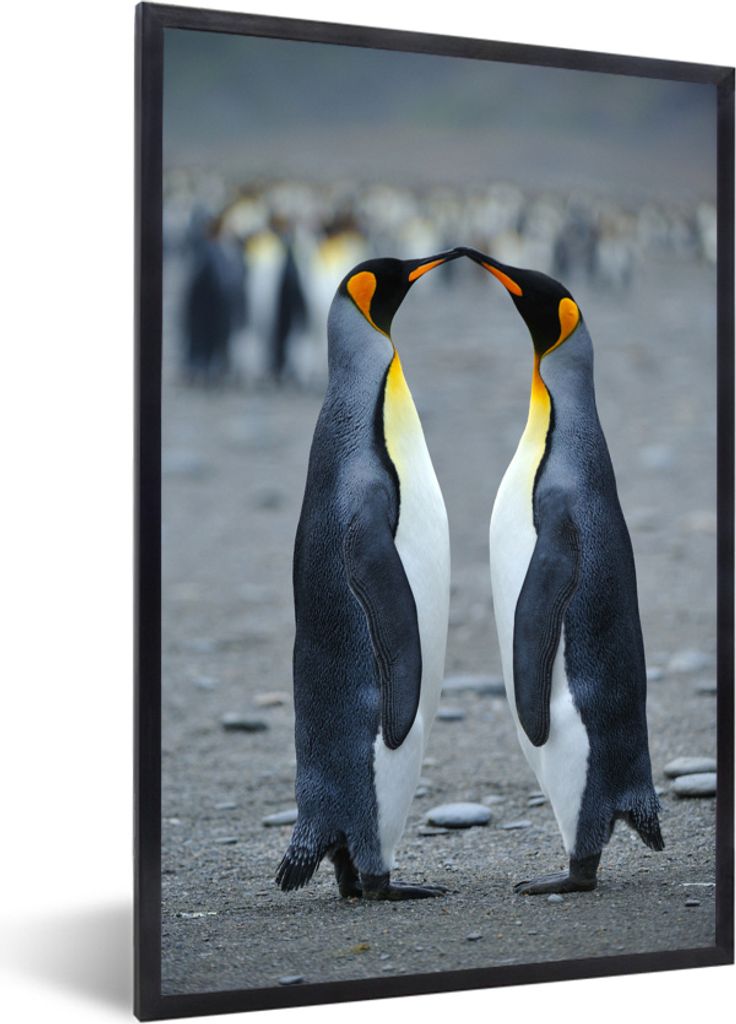MuchoWow MuchoWow Gerahmtes Poster Pinguin - Sand - Stein 20x30 cm - Poster mit zchwarzem Bilderrahmen - Drucken - Bilder Poster im Rahmen