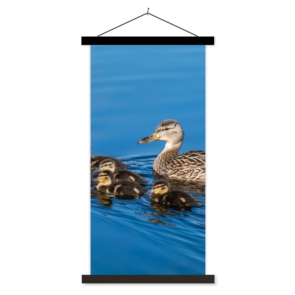 MuchoWow Textilposter Ente - Wasser - Vogel - Braun 60x120 cm mit schwarzem Rahmen - Magnete