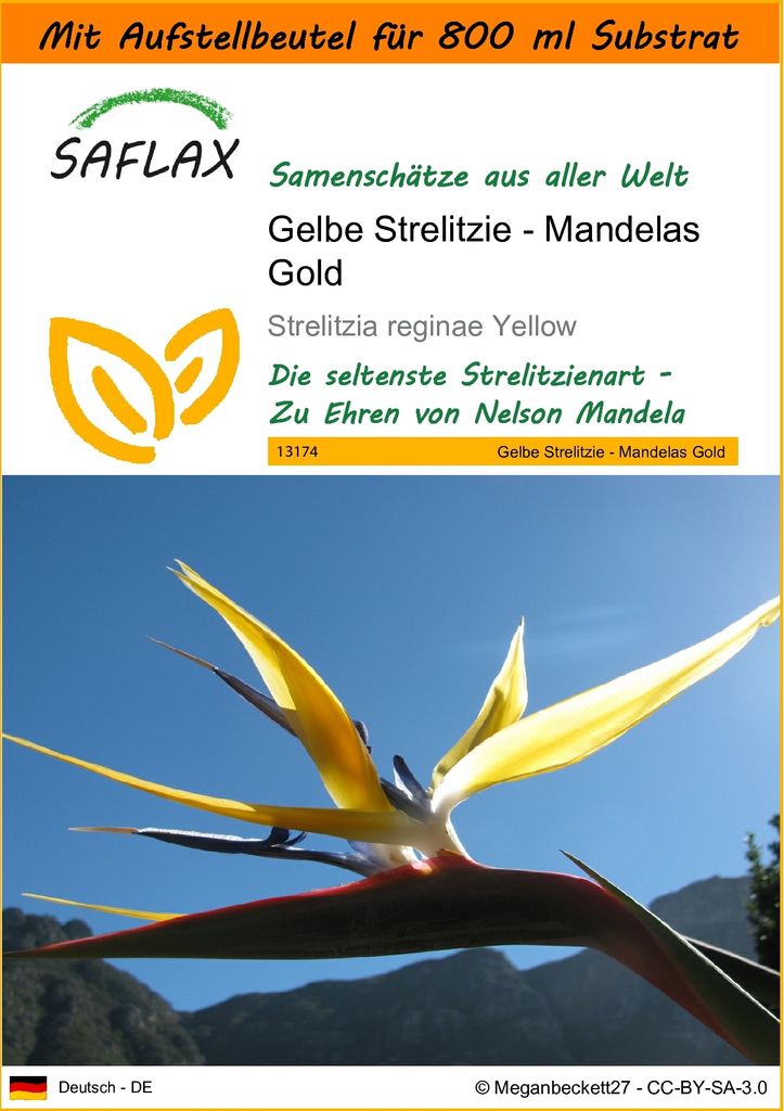 SAFLAX - Garden in the Bag - Gelbe Strelitzie - Mandelas Gold - 4 Samen - Mit Anzuchtsubstrat im praktischen, selbst aufstellenden Beutel - Strelit...