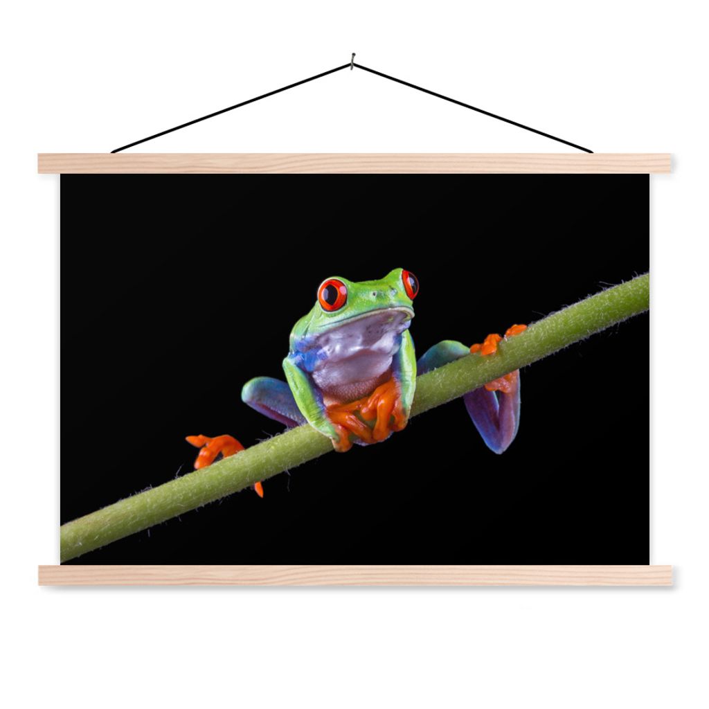 MuchoWow Textilposter Frosch - Pflanze - Schwarz 60x40 cm mit holzfarbenen Rahmen - Bilder