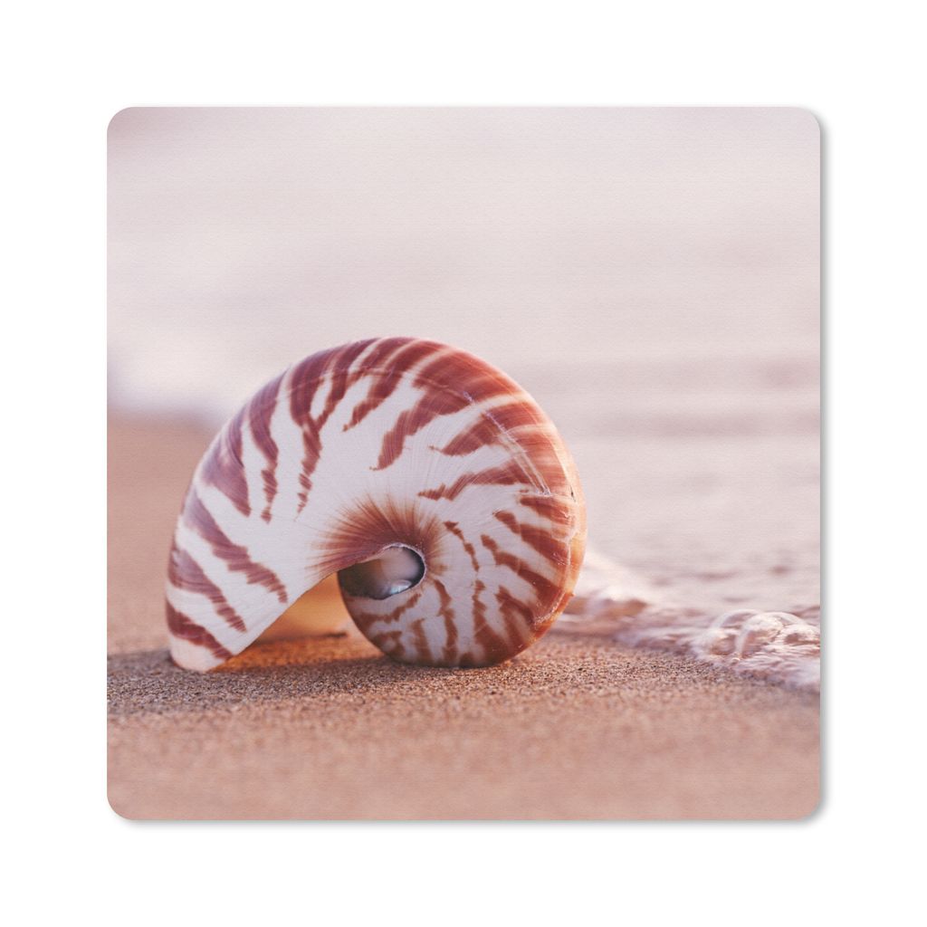 MuchoWow Mauspad Mousepad Muschel - Strand - Meer - Sand 20x20 cm - Mousepads - Maus Mat - Pad - Mausunterlage - Desk Mat - Bureauartikeln