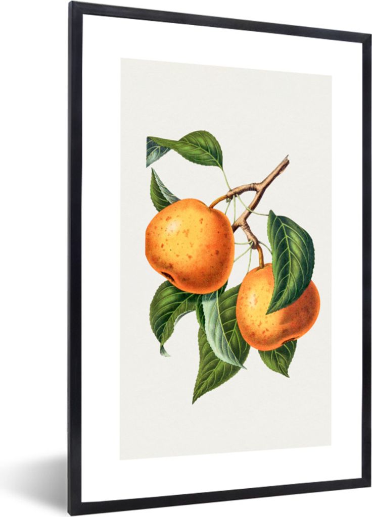 MuchoWow Gerahmtes Poster Lebensmittel - Orange - Obst 20x30 cm - Poster mit Schwarzem Bilderrahmen Wandposter Rahmen Foto Bilder - Drucken - Bil...