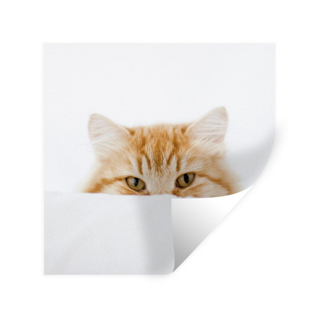 MuchoWow Wandtattoo Wandsticker Wandaufkleber Katze - Rot - Weiß - Mädchen - Jungen - Kind 100x100 cm Selbstklebend und Repositionierbar - Wier...