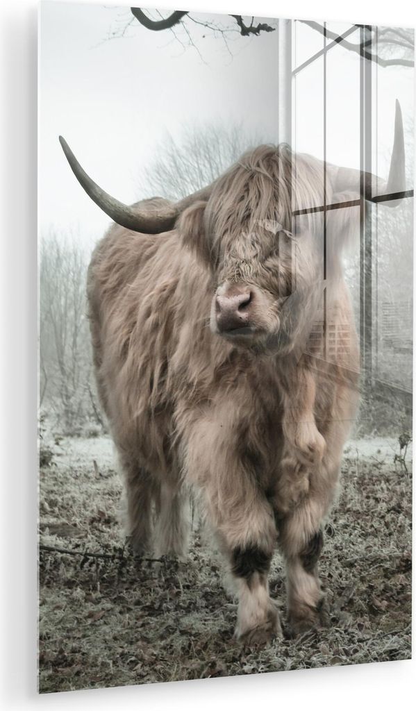 MuchoWow Glasbilder - Bilder auf Wandbild - Foto auf Glas Schottisches Hochlandrind - Wald - Nebel - Kuh - Tiere - Natur 40x60 cm Wanddekoration au...