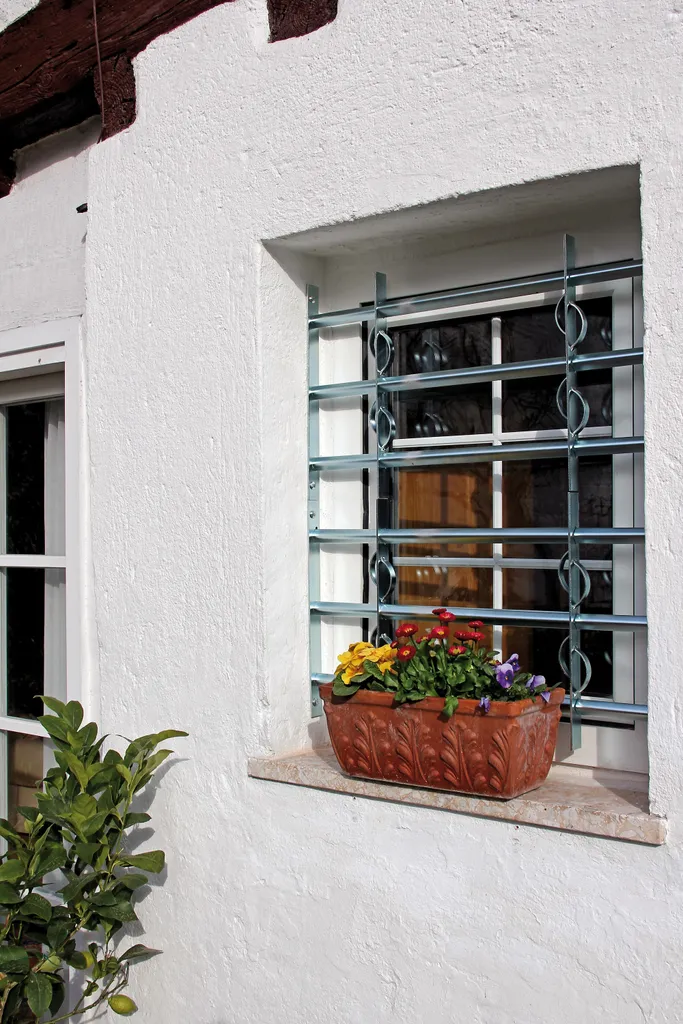 Sécuriser une fenêtre extérieure avec cette grille extensible Alberts - 5