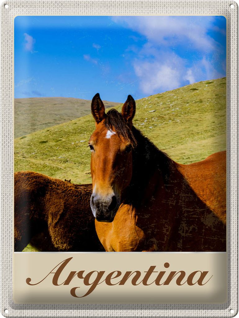 Blechschild Argentinien Wiese Pferde Urlaub Schild, 40 x 30 cm, Blechschilder Pferdefreund Pony