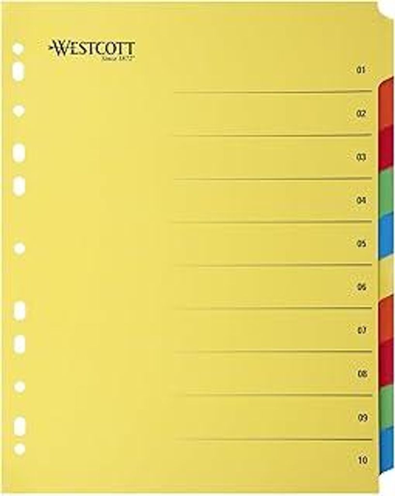 Register für Ordner A4 mit Klarsichthüllen | Extrabreite Trennblätter für Prospekthüllen in Din A4 Ordner | 10 farbige Tabs in 5 Farben | Robu...