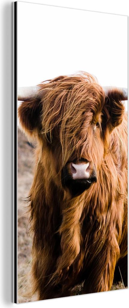 MuchoWow Wanddekoration Metall Metallbild Wandkunst 20x40 cm Schottische Hochlandrind - Landschaft - Kuh - Braun - Tiere - Natur MuchoWow Aluminium...