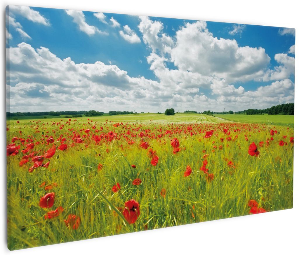 Wallario Premium Leinwandbild Grüne Wiese mit Mohnblumen in Größe 60 x 90 cm