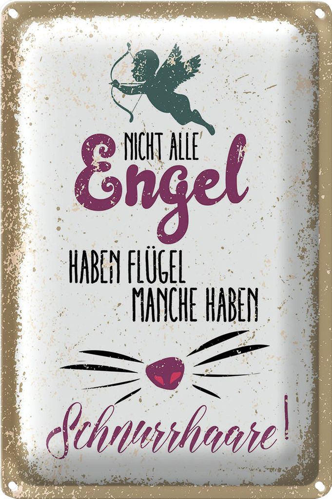 Blechschild Spruch Nicht alles Engel haben Flügel 20x30cm