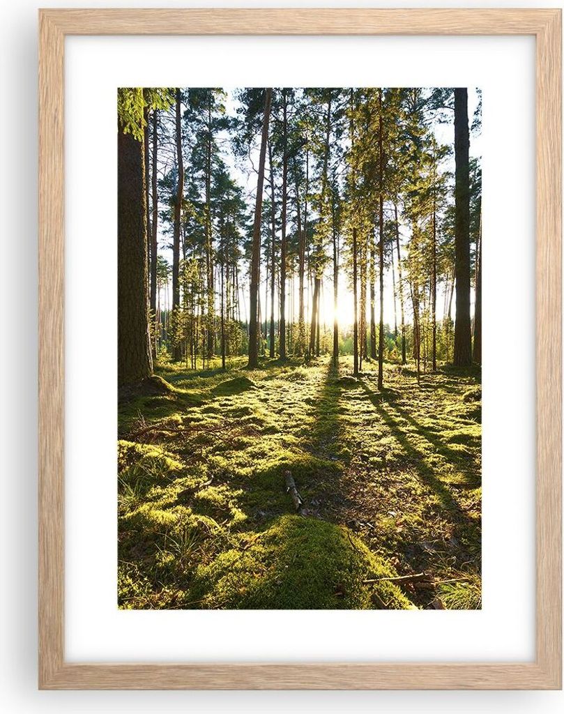 Gerahmtes Poster - Rahmen in heller Eiche - Wald Baum Natur - 30x40 cm - Wand Bild - Wanddeko - Wandbilder - Kunstposter - Wandposter - Bilderrahme...