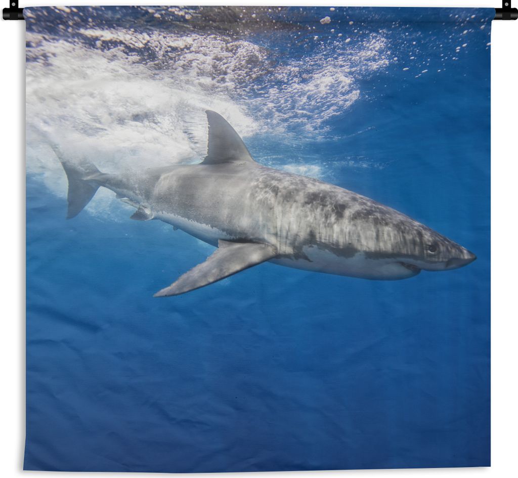 MuchoWow Wandteppich Wandbehang Hai - Meer - Wasser 150x150 cm Tapisserie Dekoration Wandtuch - Wohnaccessoires - Modernes