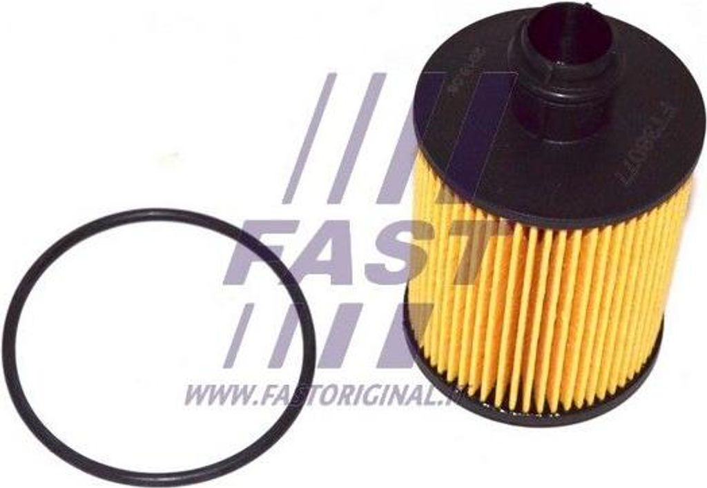FAST FT38077 Ölfilter OE 1109CJ kompatibel mit Bipper, Meriva, Corsa D, Combo, Astra J, Ypsilon, Musa, Delta, KA, Sedici, Qubo, Punto, Panda, Line...