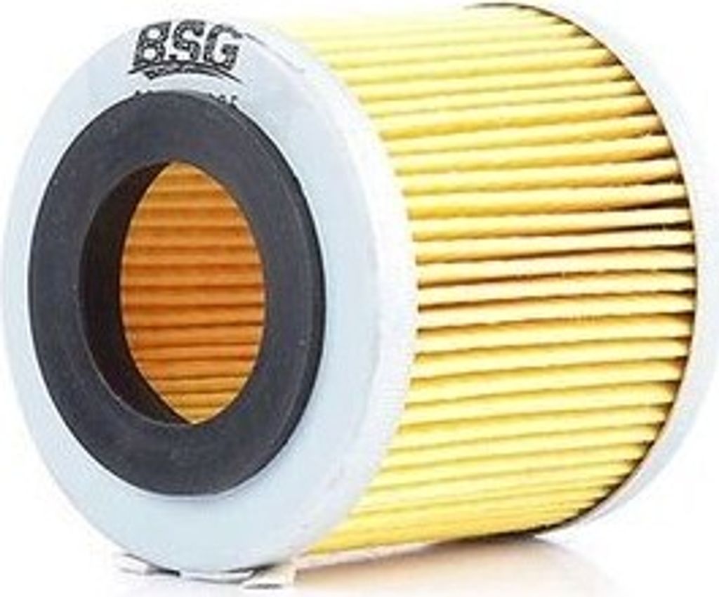 Ölfilter BSG BSG 90-140-005 Filtereinsatz für VW POLO (9N) Polo Schrägheck (6R1, 6C1) Fox Schrägheck (5Z1, 5Z3, 5Z4) für SKODA Fabia II Schrä...