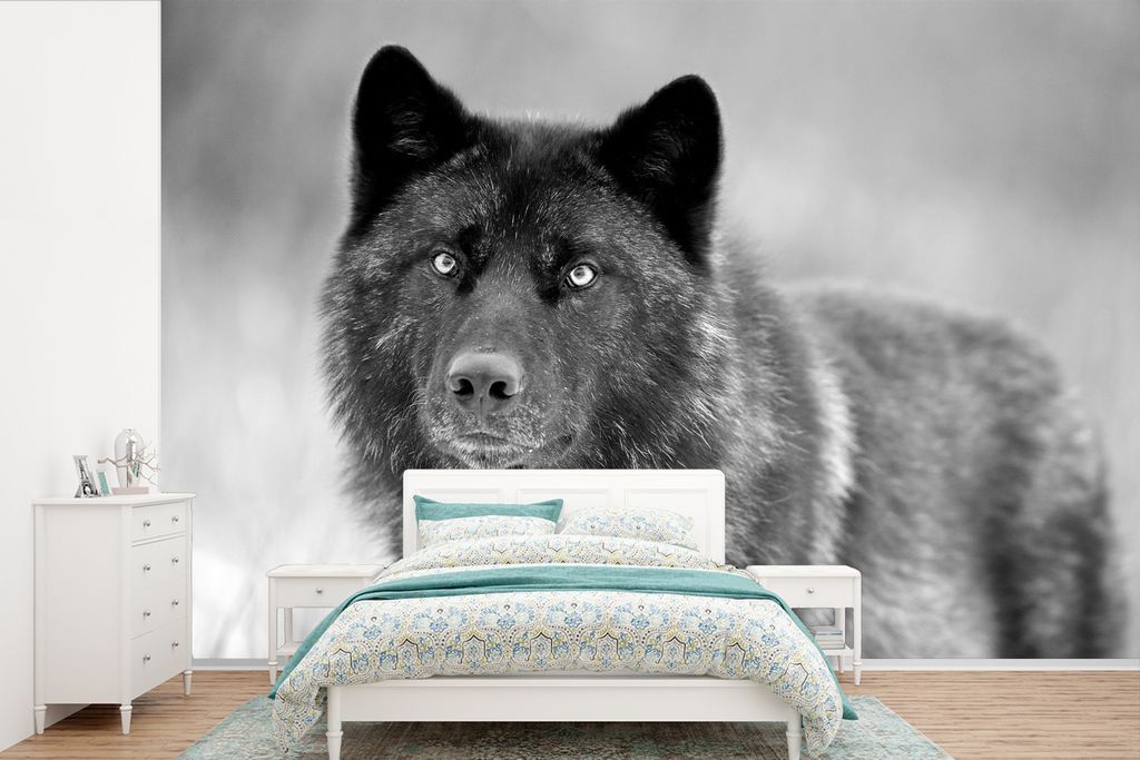 MuchoWow Fototapete für Wohnzimmer oder Schlafzimmer Wandtapete Vinyl Motivtapete Wolf - Nahaufnahme - Schwarz - Weiß - 330x220 cm - Fototapeten