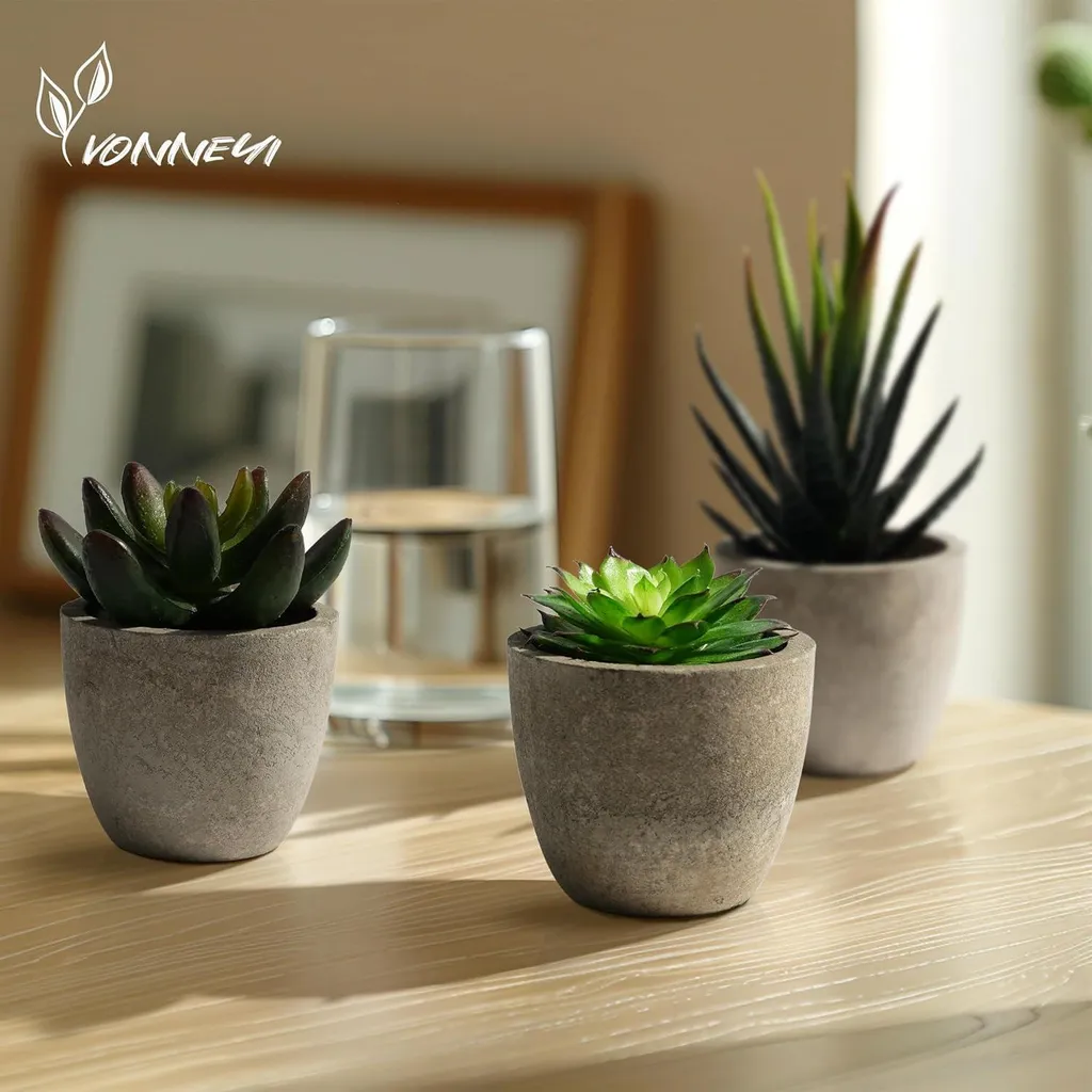 Set 5 Piante Grasse Artificiali con Vaso - Arredo Interni Casa e Ufficio - 5
