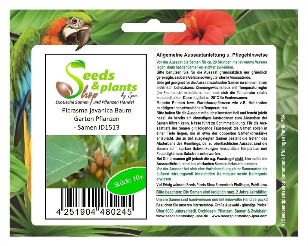 10x Picrasma javanica Baum Garten Pflanzen - Samen ID1513