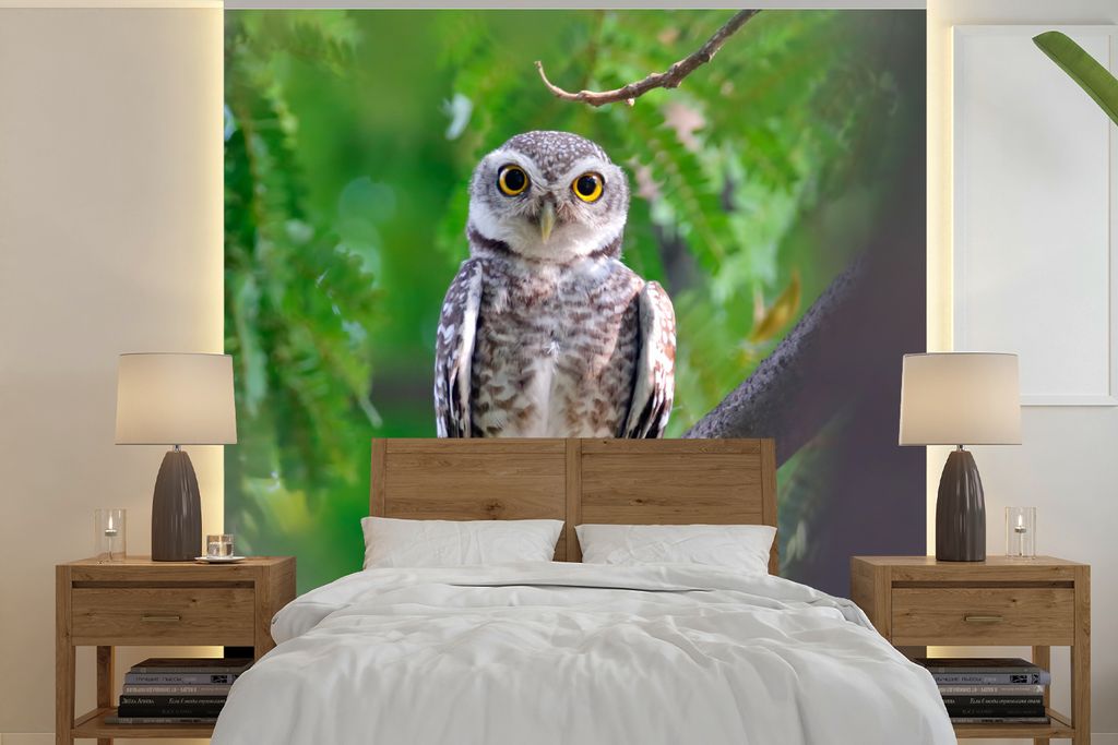 MuchoWow Fototapete für Wohnzimmer oder Schlafzimmer Wandtapete Vinyl Motivtapete Eule auf Ast sitzend - 350x350 cm - Schlafzimmertapete