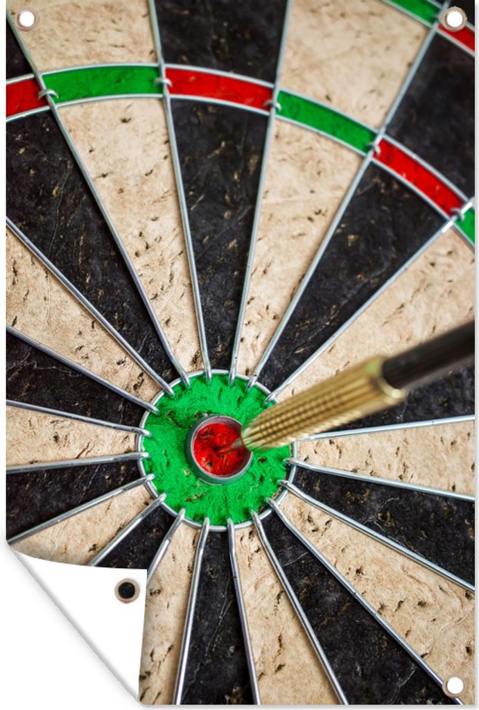 MuchoWow 60x90 cm Outdoor-Poster Gartendeko Sichtschutz Garten Poster für den Garten Dartpfeil im Bullseye