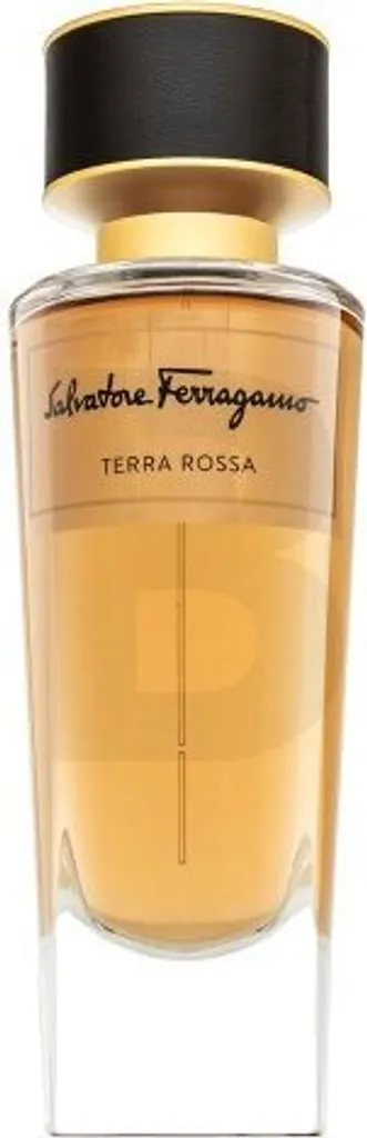 Parfum Mixte Terra Rossa Salvatore Ferragamo Eau de Parfum 100 ml Intense