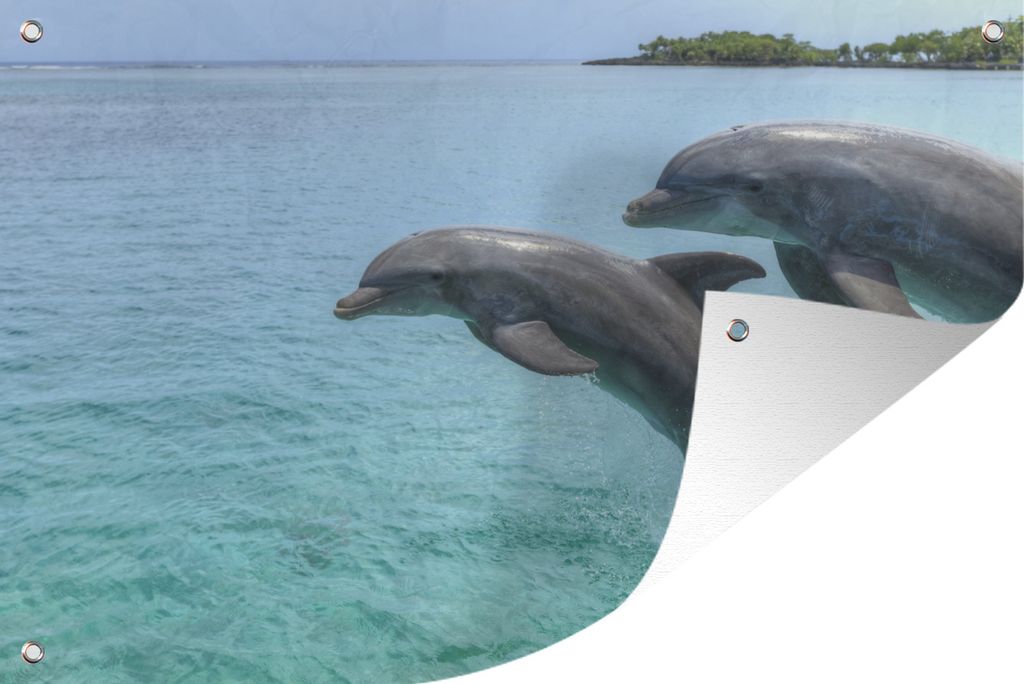 MuchoWow 90x60 cm Outdoor-Poster Gartendeko Sichtschutz Garten Poster für den Garten Delfine vor den Bay Islands