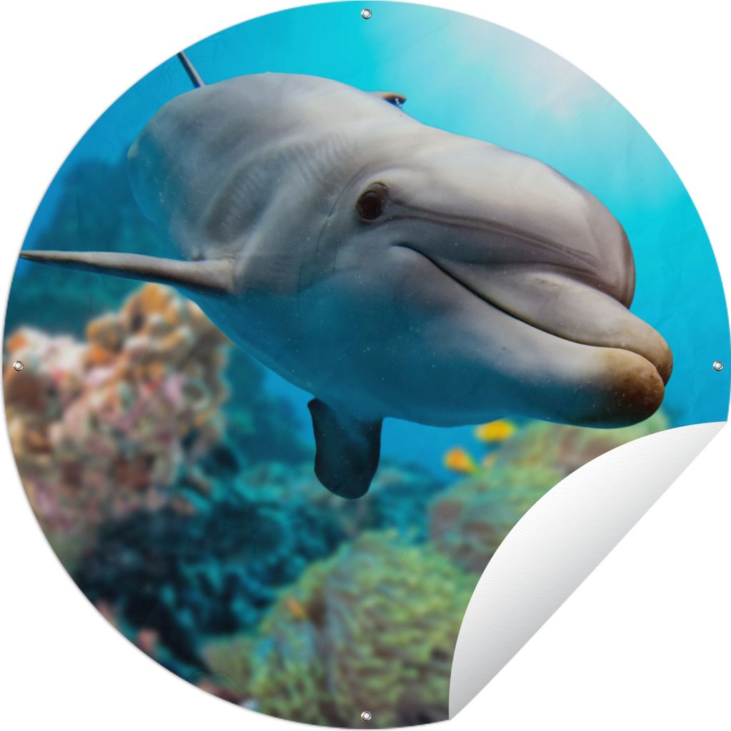 MuchoWow Gartenposter Outdoor-Poster Rund Delfin - Meer - Koralle Ø 150 cm Gartendeko Rundes Poster draußen
