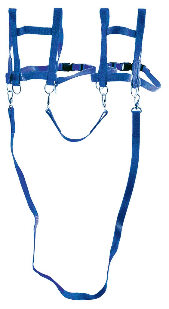 SportFit Laufleine "Zweispänner"