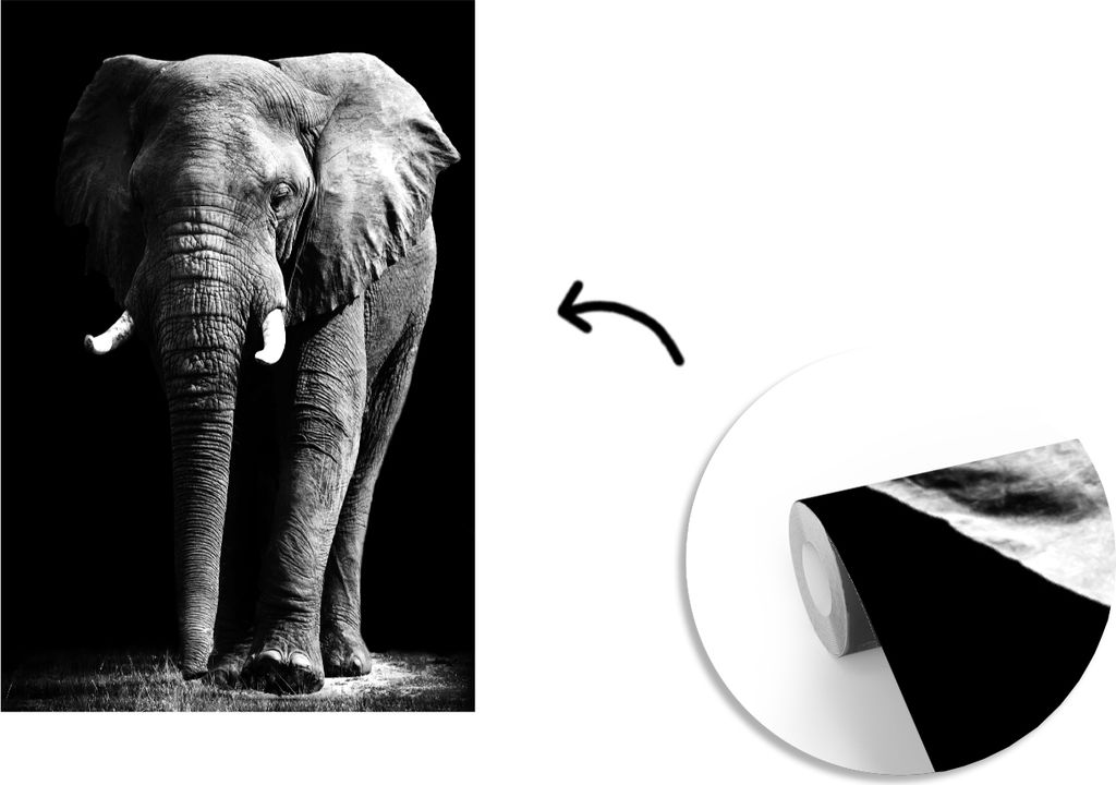 MuchoWow Fototapete für Wohnzimmer oder Schlafzimmer Wandtapete Vinyl Motivtapete Elefant - Schwarz - Weiß - Wilde Tiere - 175x260 cm - Vinylta...
