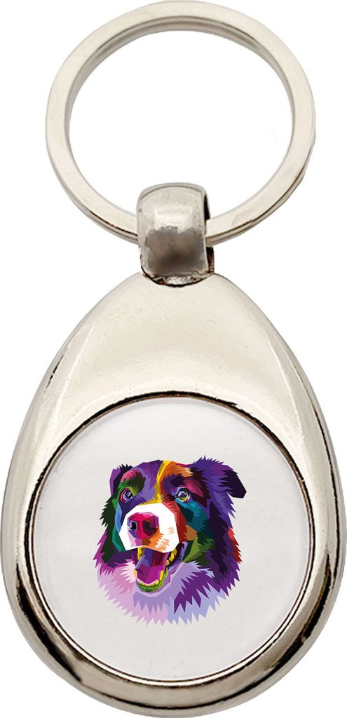 Huuraa Schlüsselanhänger Border Collie Colorful Metall Schlüsselring Einkaufswagenchip Geschenkidee