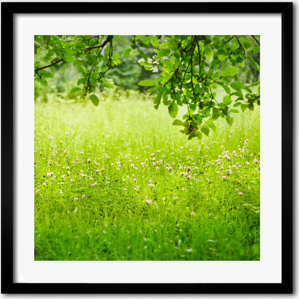 Bild - 50 cm x 50 cm - MDF - Rahmen, Wandkunst - Grüne Wiese