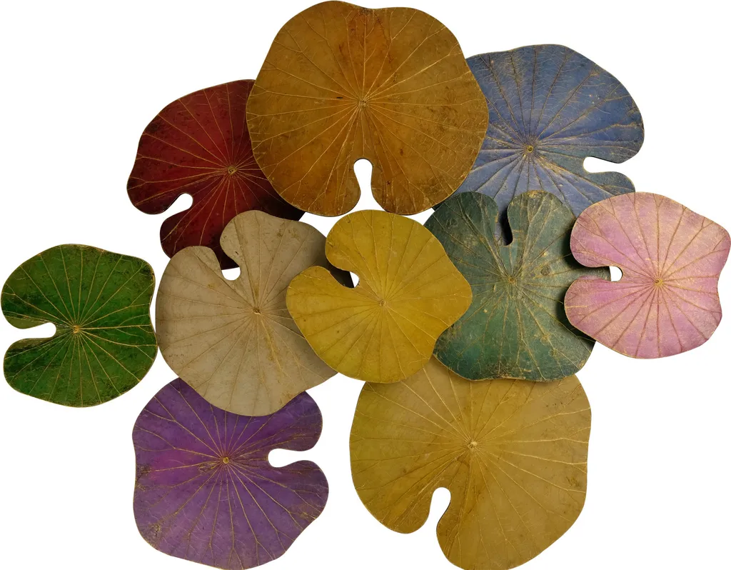 Peinture 3D Lotus : Donnez du Relief et de la Couleur à vos Murs Gris