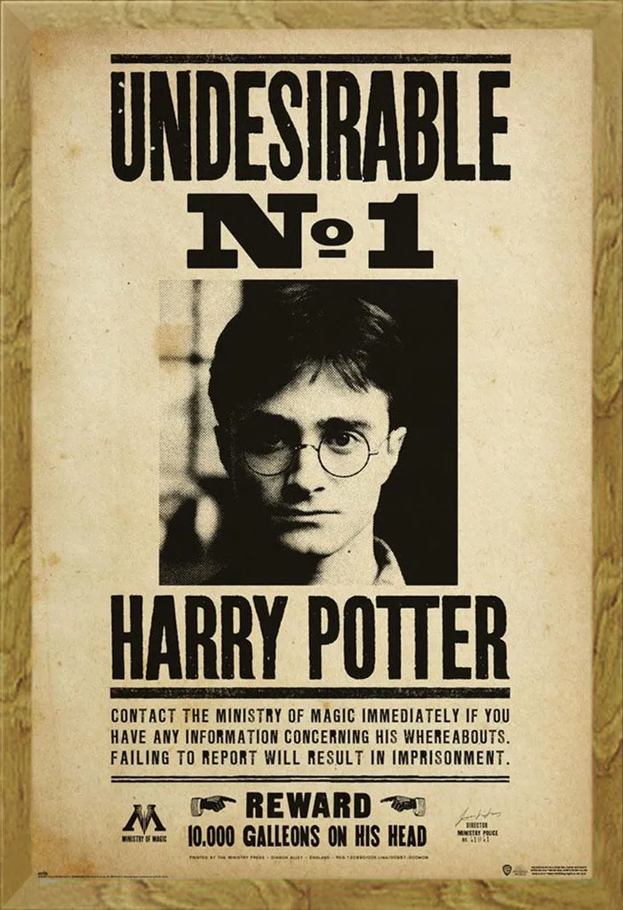 Idea Regalo Harry Potter: Poster Indesiderabile n. 1 con Cornice