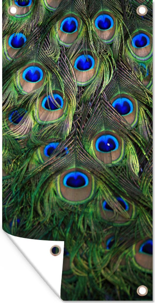MuchoWow 40x80 cm Outdoor-Poster Gartendeko Sichtschutz Garten Poster für den Garten Pfau - Federn - Augen - Blau