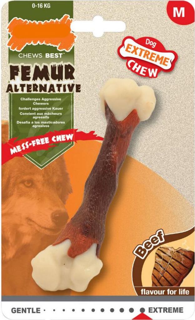 Nylabone NL Femur XL (stehenní kost x velká) Obrázek produktu 
