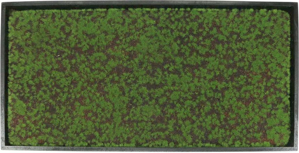 Wandbild Moosrahmen Grün 60x30cm - Künstliches Moos & Dekopflanzen Wanddeko für Büro & Zuhause