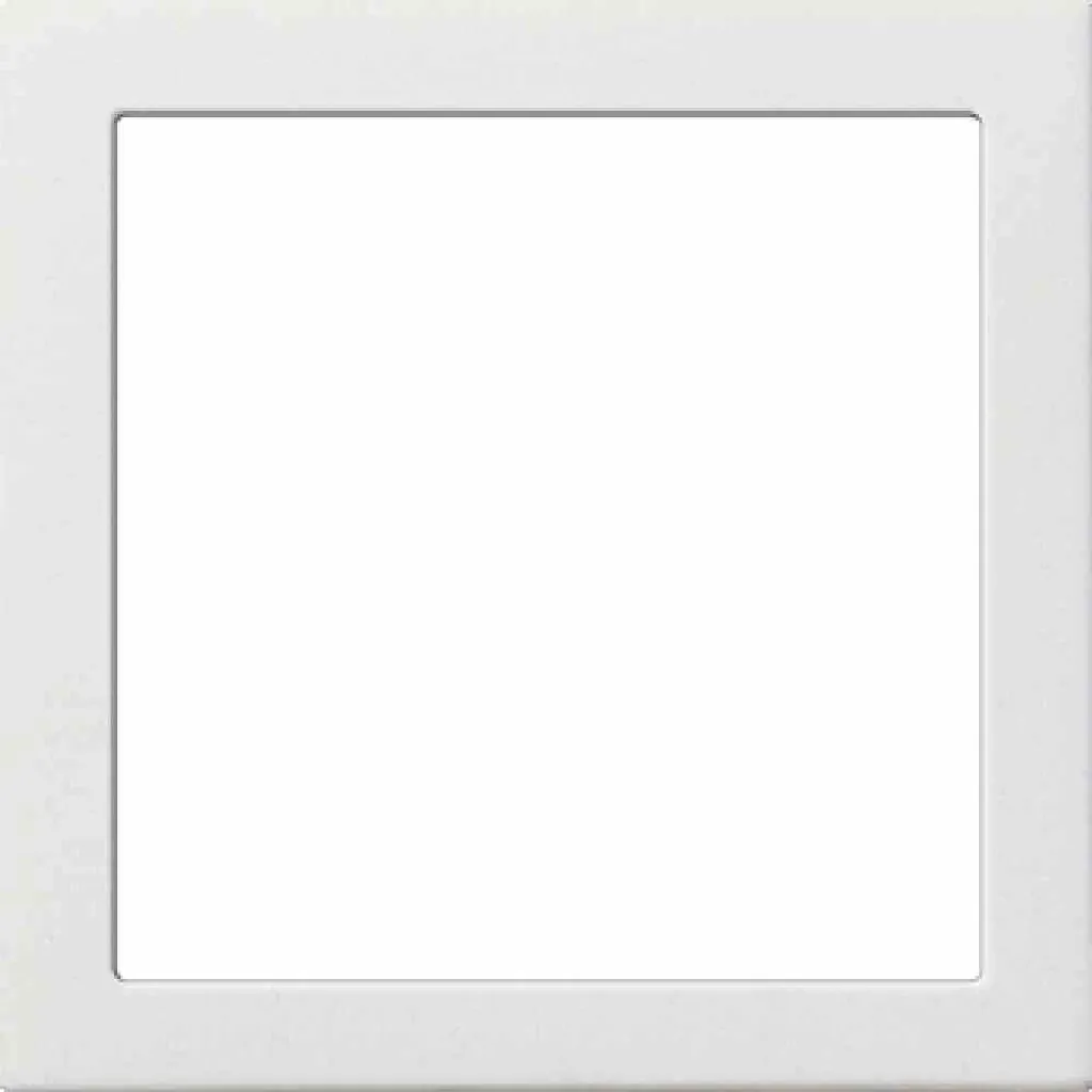 Cadre de Montage Gira 55x55mm Blanc Brillant pour Interrupteur Saillie