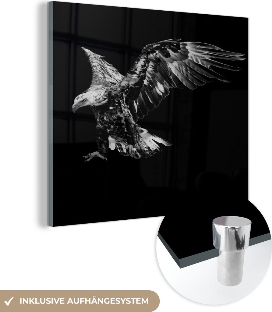 MuchoWow Glasbilder - Bilder auf Wandbild - Foto auf Glas Adler - Vogel - Schwarz - Weiß 90x90 cm Wanddekoration aus Glas - Acrylglasbild - Acrylb...