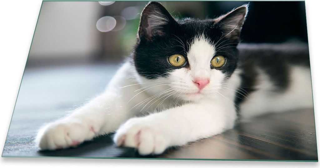 Herdabdeckplatte Glaskeramik 1 Teilig 80x52 Katze Schwarz Abdeckung Glas Spritzschutz
