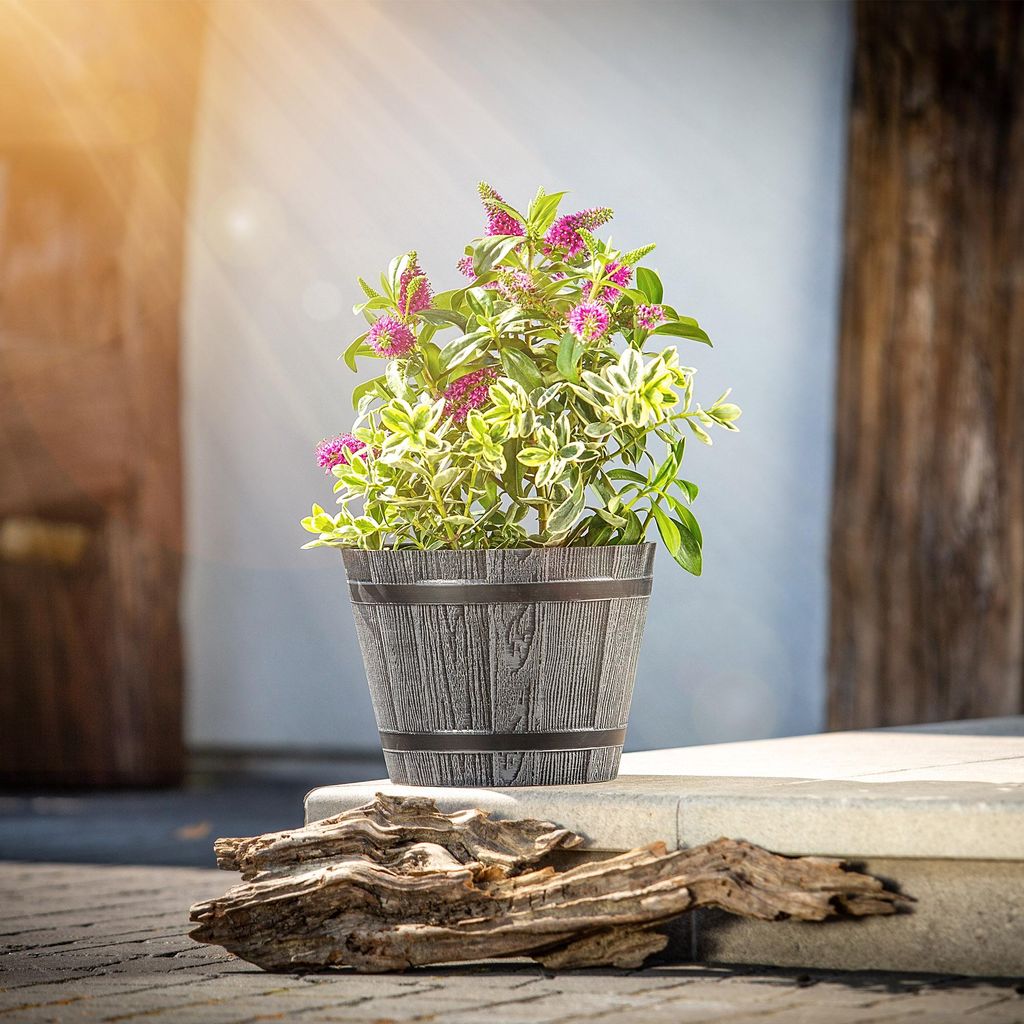 Vaso per fiori bonsai rettangolare - Dbon - 20 x 14 cm - terracotta - – Garden Seeds Market | Spedizione gratuita
